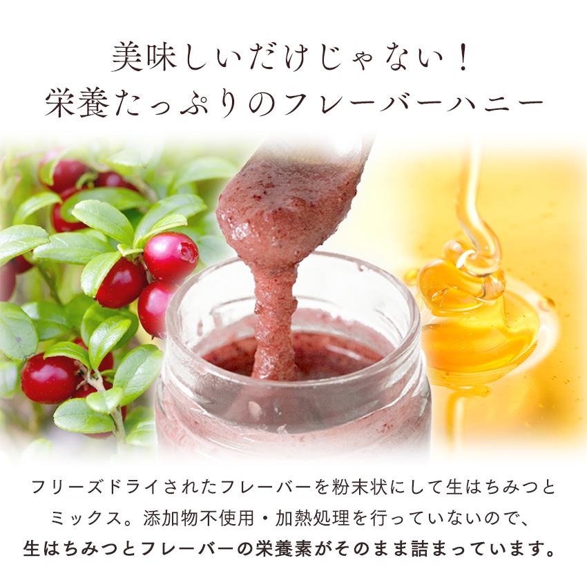 アーティサンハニー フレーバー 100g はちみつ フレーバーハニー 単品 プレゼント 生はちみつ 非加熱 ギフト 蜂蜜 無添加 農薬不使用 |  | 04
