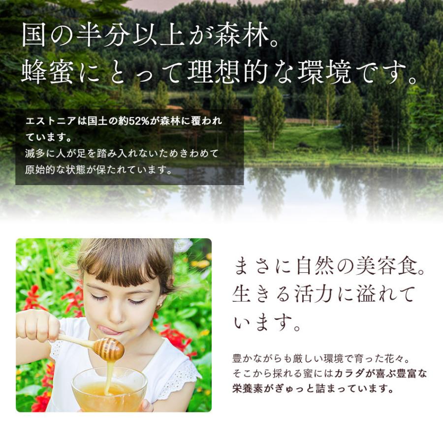 アーティサンハニー フレーバー 100g はちみつ フレーバーハニー 単品 プレゼント 生はちみつ 非加熱 ギフト 蜂蜜 無添加 農薬不使用 |  | 06