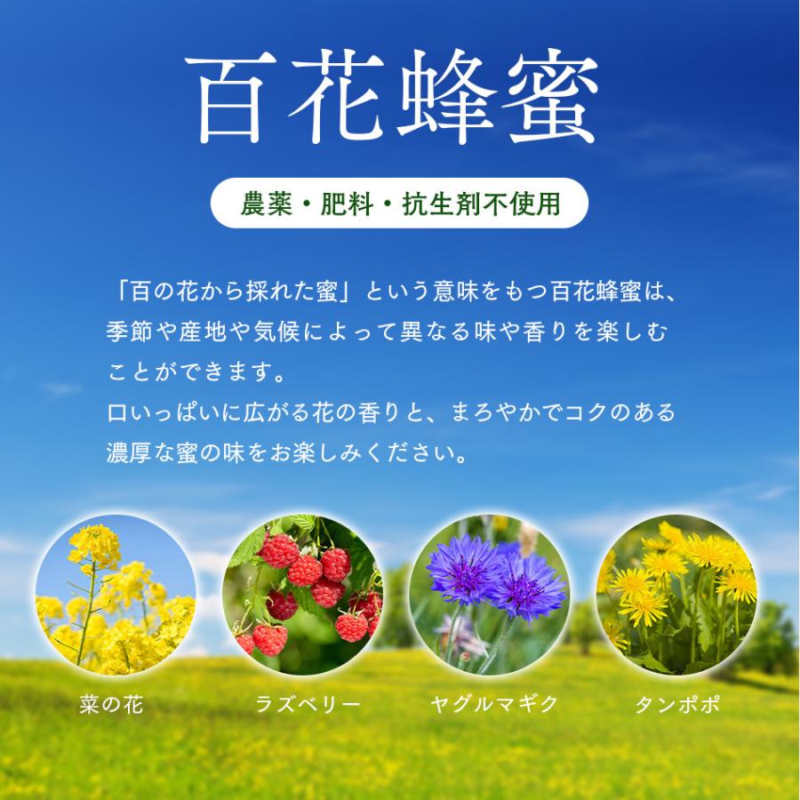 アーティサンハニー フレーバー 100g はちみつ フレーバーハニー 単品 プレゼント 生はちみつ 非加熱 ギフト 蜂蜜 無添加 農薬不使用 |  | 09