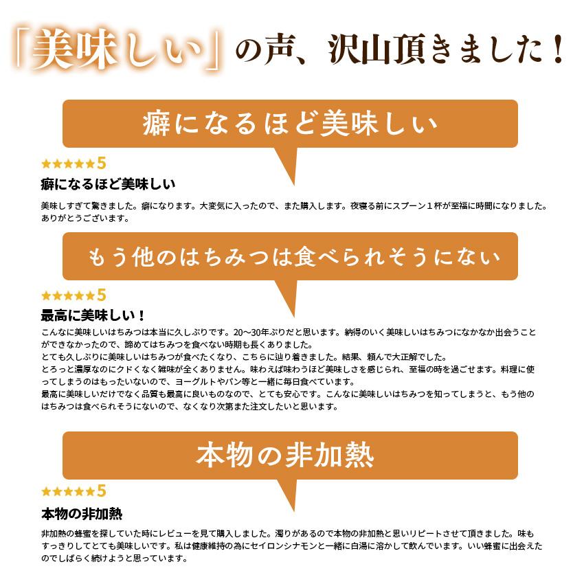 【送料無料】アーティサンハニー はちみつ 430g 大容量 生はちみつ 非加熱 天然蜂蜜 蜂蜜 純粋 無添加 農薬不使用 ギフト エストニア |  | 13