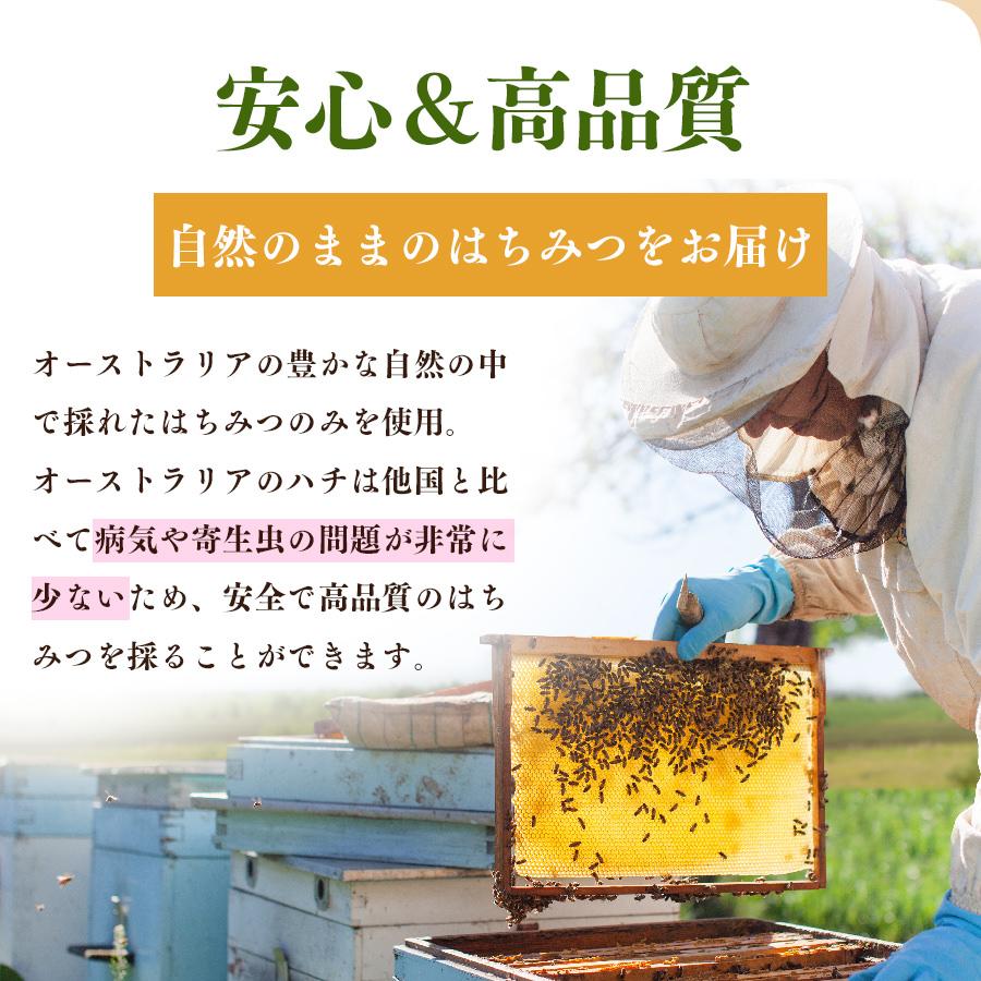 コムハニー 巣蜜 巣みつ はちみつ 蜂蜜 生はちみつ 非加熱