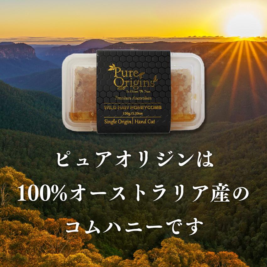 コムハニー 巣蜜 巣みつ はちみつ 蜂蜜 生はちみつ 非加熱