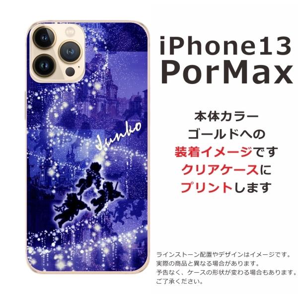 iPhone iPhone13 ProMax ケース アイフォン13プロマックス カバー ら