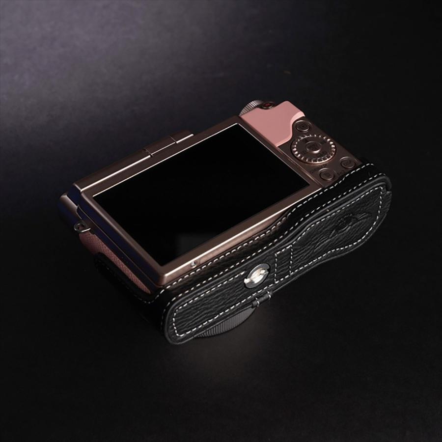極美品 Panasonic LUMIX ＧDC-GF10 ボディ ブラック 4K Panasonic パナソニック ミラーレス一眼カメラ ルミックス GF10