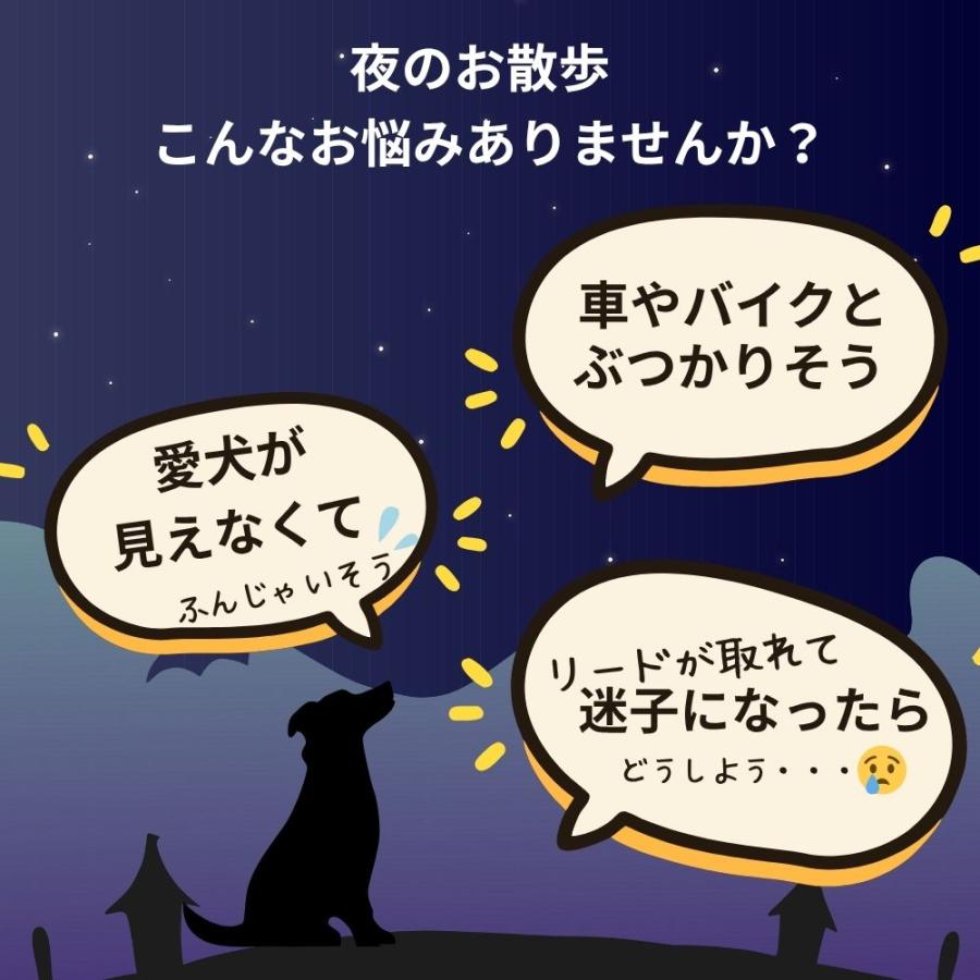 光る首輪 犬用 レインボー 充電 小型犬 ひかる首輪 led 猫 大型犬 柴犬 おすすめ　 | ブランド登録なし | 09