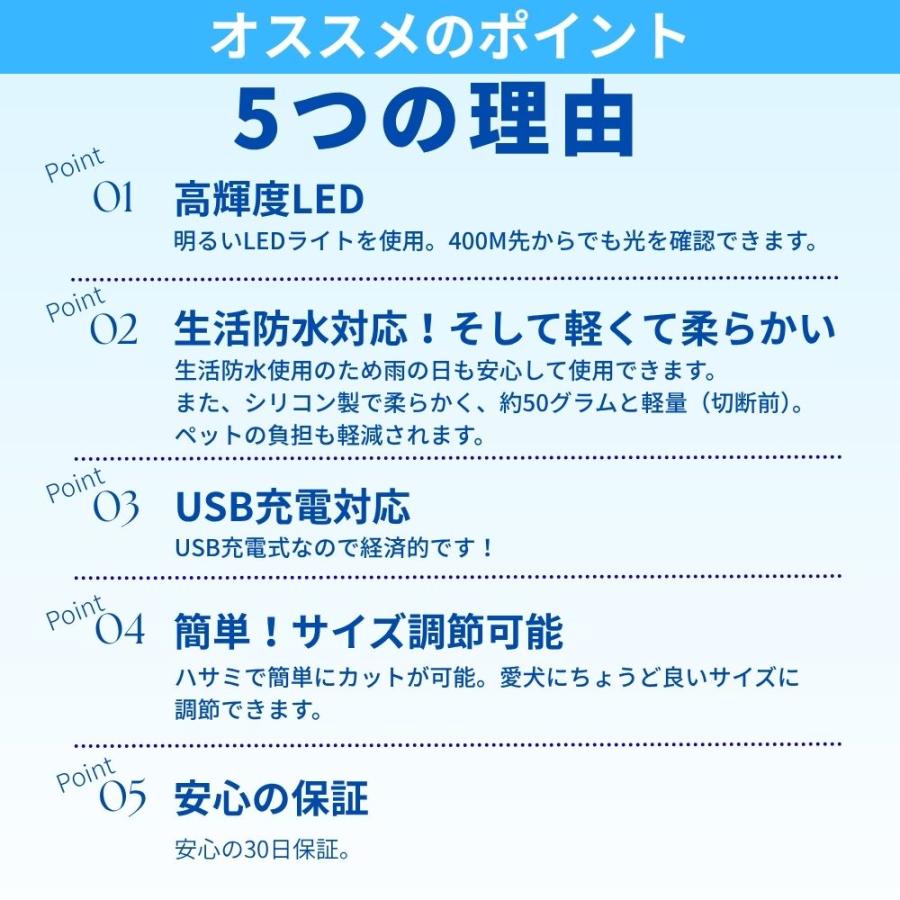 光る首輪 犬用 レインボー 充電 小型犬 ひかる首輪 led 猫 大型犬 柴犬 おすすめ　 | ブランド登録なし | 11