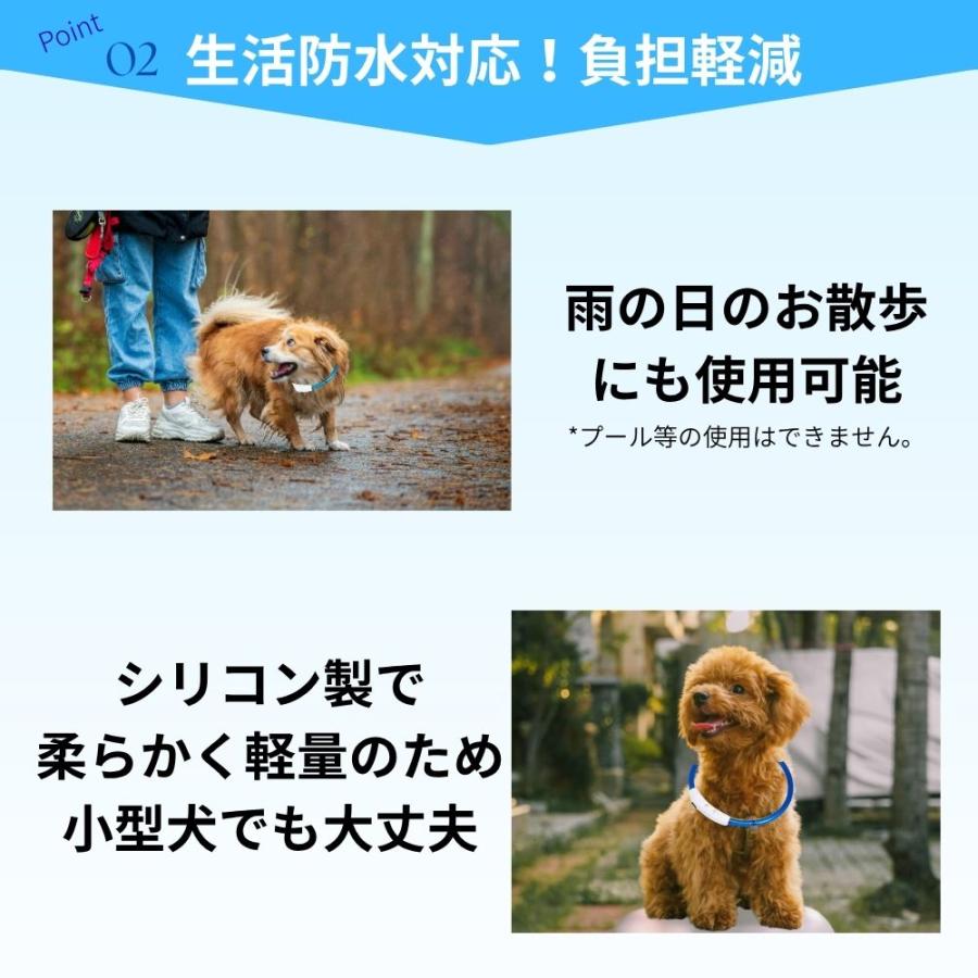 光る首輪 犬用 レインボー 充電 小型犬 ひかる首輪 led 猫 大型犬 柴犬 おすすめ　 | ブランド登録なし | 13