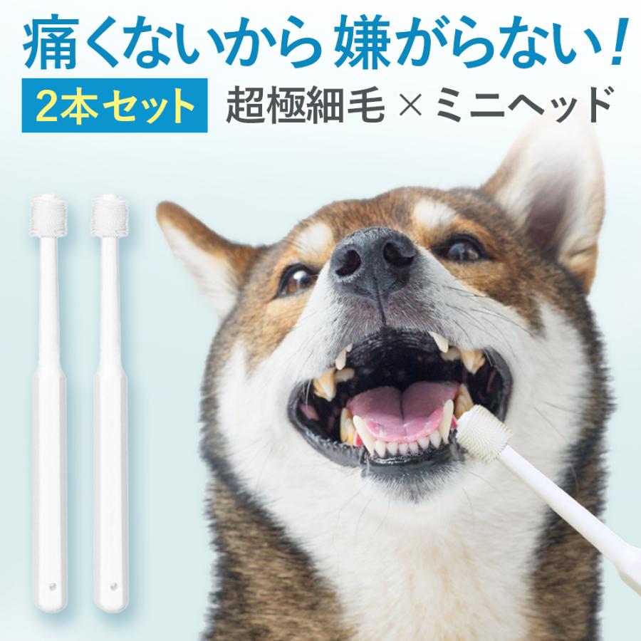 犬 猫 歯ブラシ 小型犬 中型犬 用 超極細毛 2本セット 歯石除去 歯みがき 口臭対策 の商品画像