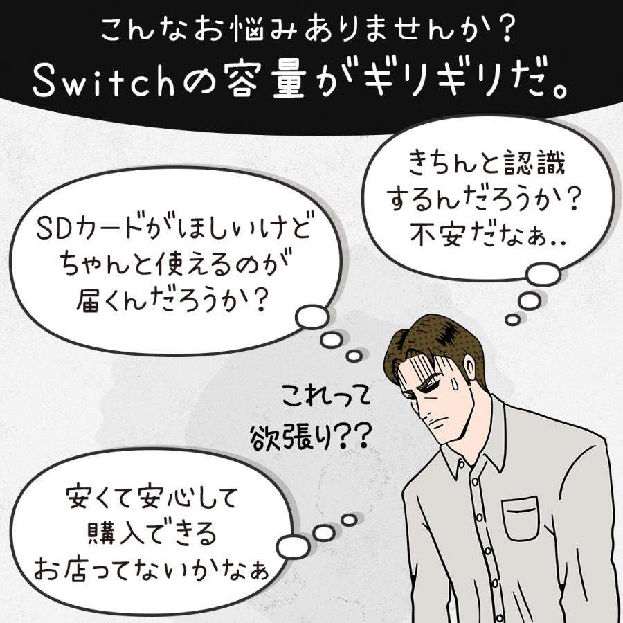 Nintendo Switch microSDカード 128GB ニンテンドー スイッチ SDカード