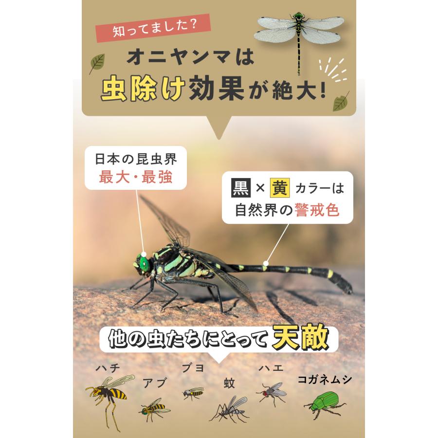 オニヤンマ 2個組 虫除け 12cm フィギュア おにやんま 大きい