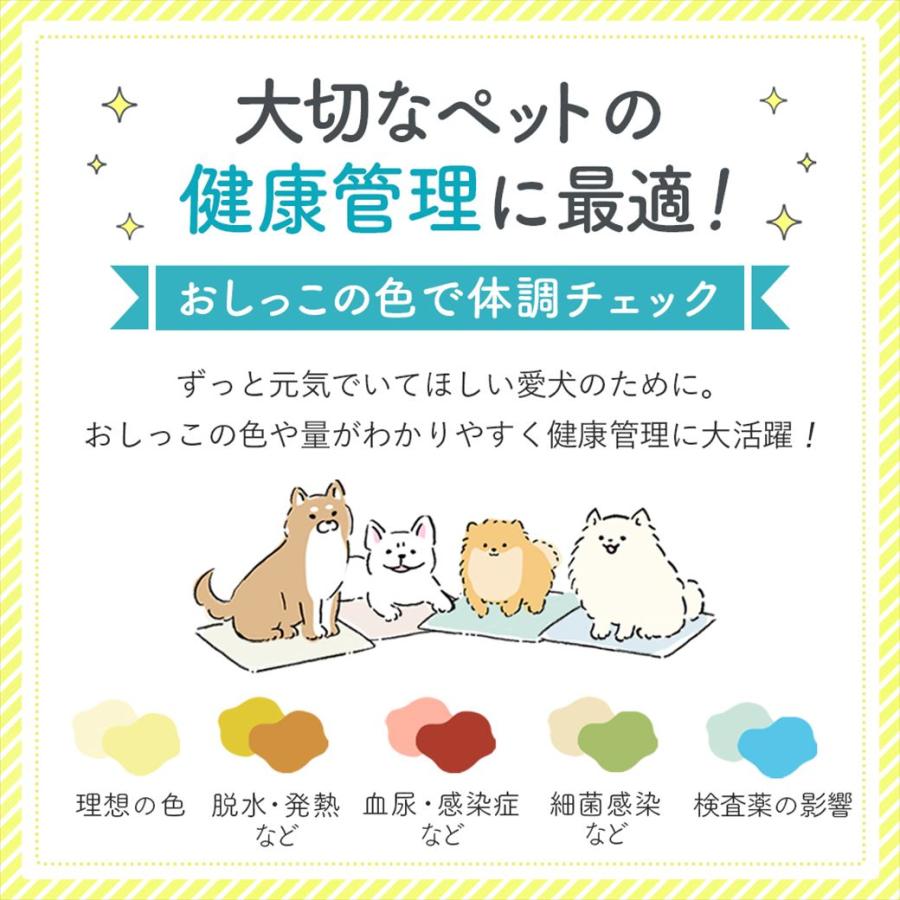 ペットシーツ 洗える ペットシート Sサイズ 犬 トイレシート 防水 吸水 厚型 滑り止め 2枚セット 繰り返し使用 しつけ 介護用 | Laundly | 10