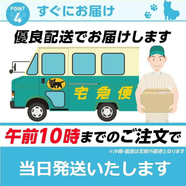 ペットシーツ 薄型 ワイド レギュラー スーパーワイド 犬 トイレシート ペットシート おシッコシート 犬シート 3個パック | Laundly | 19