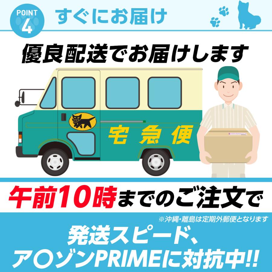 １枚 約4.94円〜 ペットシーツ 薄型 ワイド 400枚 レギュラー 800枚 スーパーワイド ペット用品 トイレシート｜laundly｜16