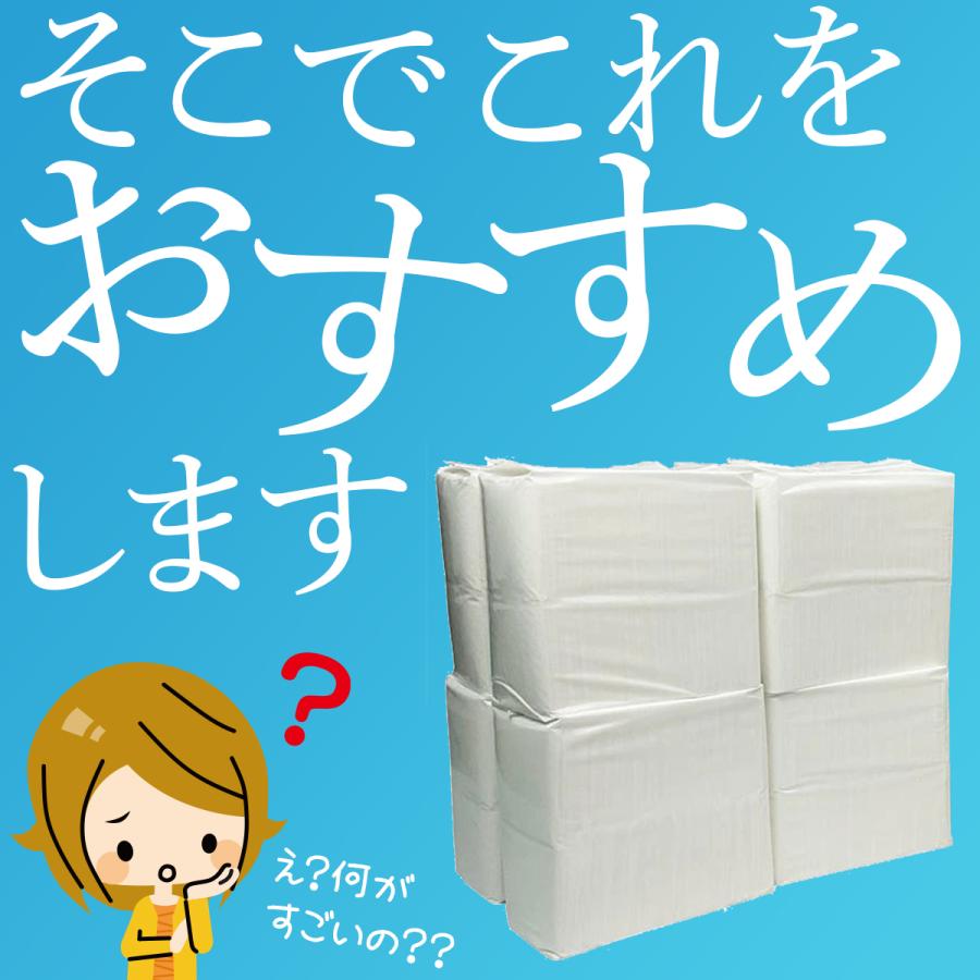 ペットシーツ 薄型 ワイド レギュラー スーパーワイド 犬 トイレシート ペットシート おシッコシート 犬シート 爆買 | Laundly | 09