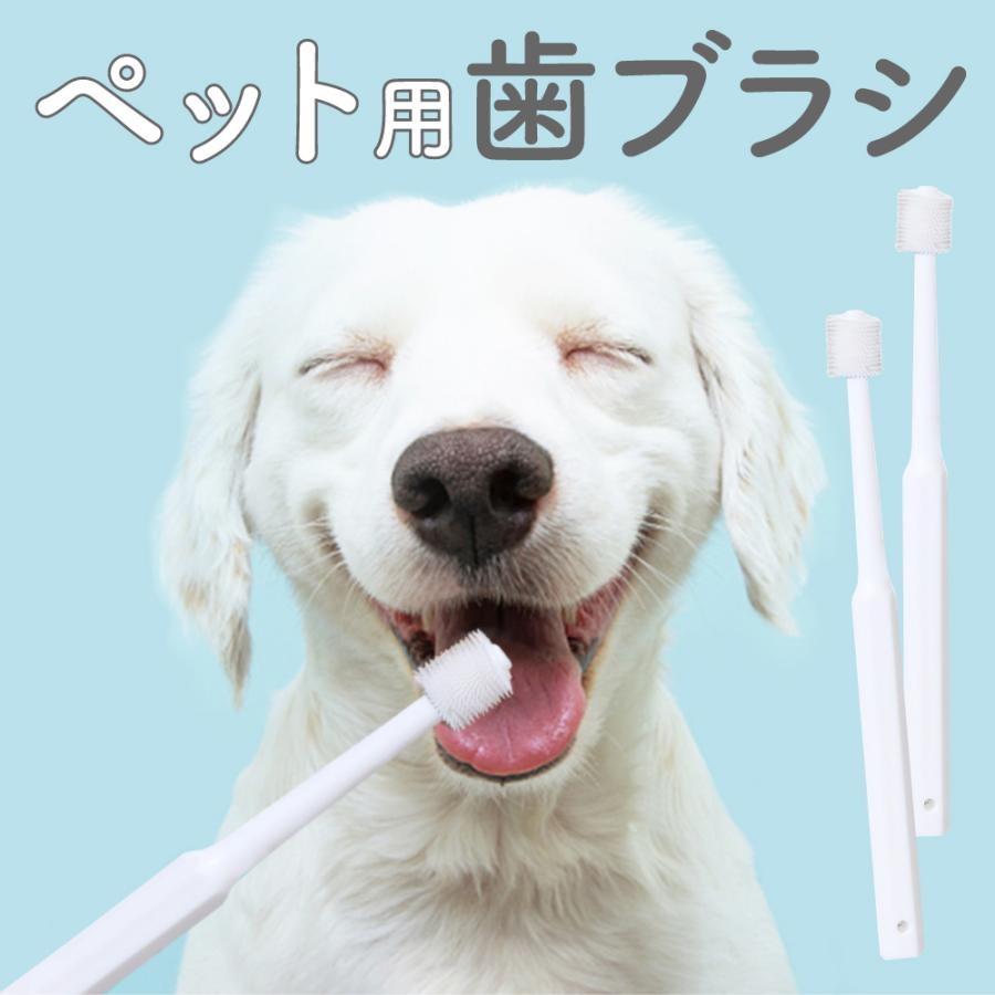 【送料込】ドクターデンタルワン＊5本セット 楽天市場】ドクター デンタル ワンの通販