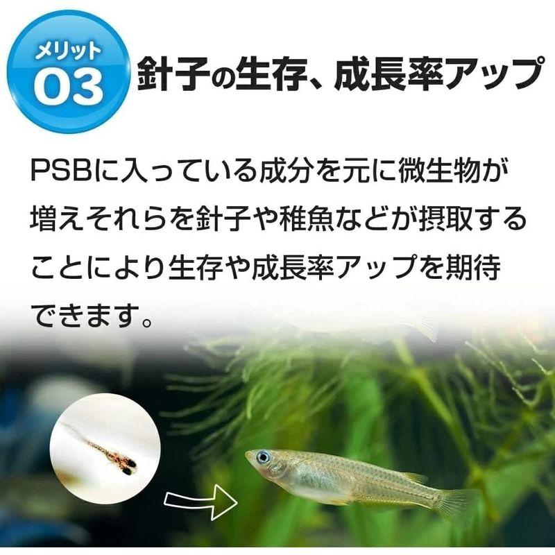 PSB光合成細菌50L用培養エキス500ml めだか金魚ミジンコクロレラ1C