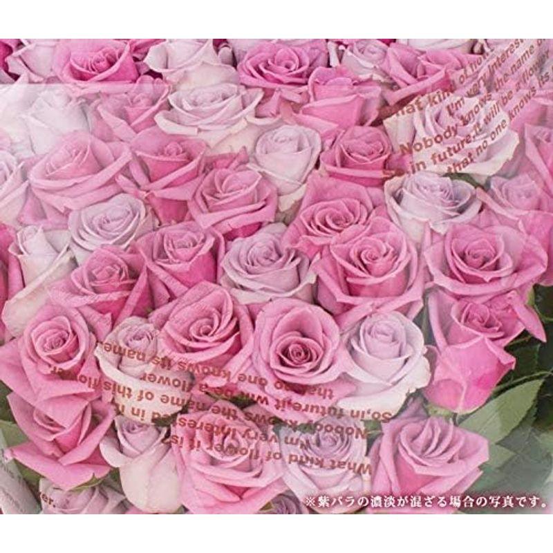 喜寿祝い 紫のバラの花束 ７７本 喜寿祝いに お祝い 花 フラワー ギフト プレゼント 女性 誕生日 バラ花束 敬老の日 バレンタイン 紫のバラの花束 ７７本 喜寿祝いに お祝い 花 フラワー ギフト プレゼント 女性 誕生日 バラ花束 敬老の日 バレンタイン 　