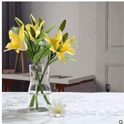 美品 Lsa フラワーベース 特大 50cm Bhinternalmedicine Com