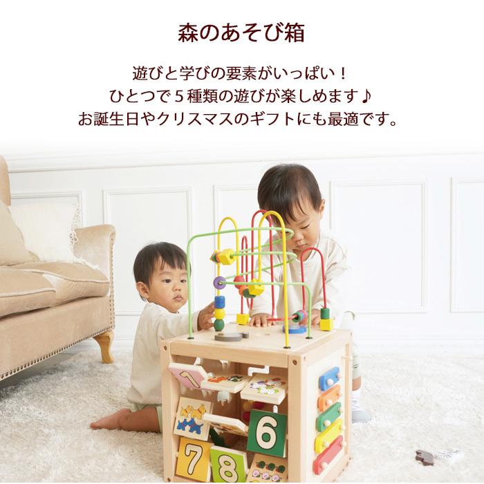 エド・インター（Ed・Inter） 森のあそび箱 知育玩具 木のおもちゃ