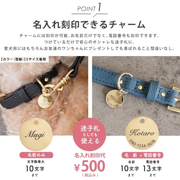 e.x.p.japon（イーエクスピージャポン） 2WAYリボンカラー ＼ダブル