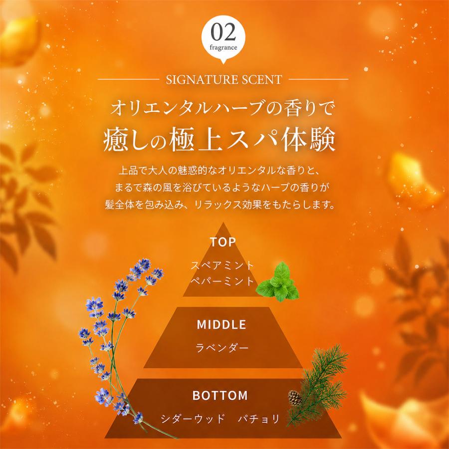 シャンプー トリートメント セット うねり パサつき くせ毛 髪質
