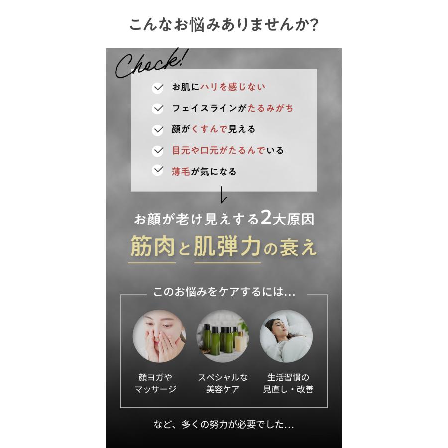 LAVIE(脱毛器) 電気ブラシ 美顔器 LAVIE公式 スカルプエステ LAVIE(脱毛器) 電気ブラシ 美顔器 LAVIE公式 スカルプエステ