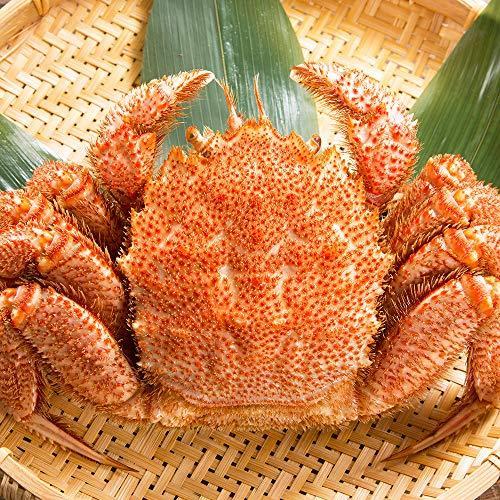 蟹 ハサミ 毛蟹 姿 ボイル ロシア産 1 2kg前後 1尾 約2 3人前 カニ はさみ 北国からの贈り物 A B08jpsf6t1 夢進ストア 通販 Yahoo ショッピング