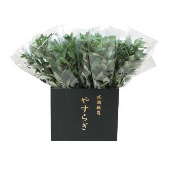 新発 造花 アートフラワーアレンジメント関連 ニューホンコン造花 シキミ ラップ入 展示箱付 グリーン30本入 Abtr La Vie En Reflet Tokyo 通販 Yahoo ショッピング 爆安プライス Www Iccostierovico Edu It