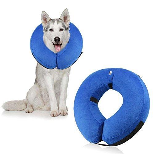 犬や猫に エリザベスカラーの人気おすすめランキング15選 寝るときに使えるものも セレクト Gooランキング