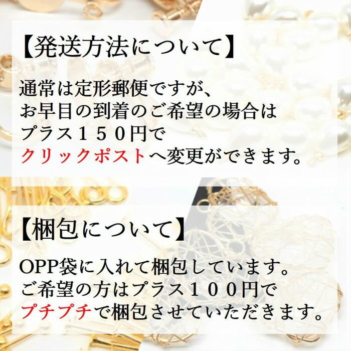 129 ブローチシリーズ鳥クリアー ハンドメイド ピアスorイヤリング