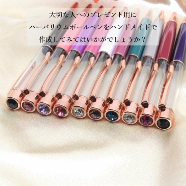 ハーバリウムボールペン ラインストーン 10本セット 替え芯付 本体のみ