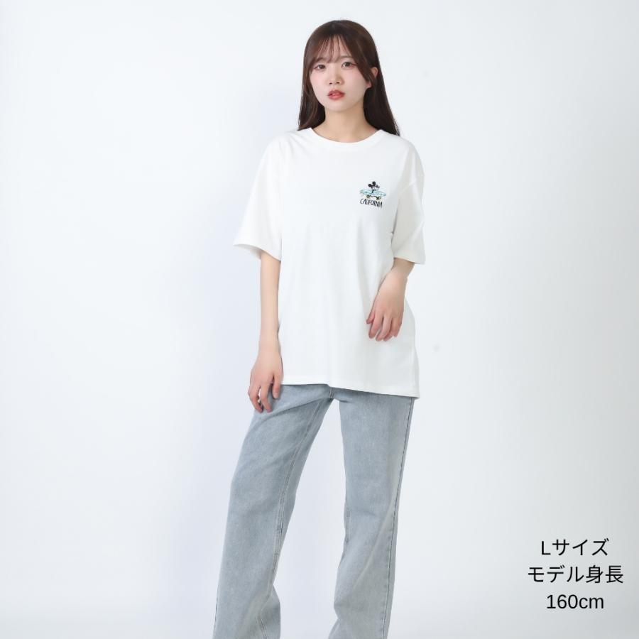 NIKE GOLF CLIMA-FIT 半袖ナイロンプルオーバー ミッキー刺繍 ANTIBAL ディズニー サガラ刺繍 Tシャツ ミッキー ドナルド プルート