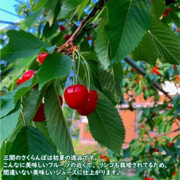 りんごジュース 無添加 ストレート 秋田県産 果汁100% サンふじ りんごジュース 無添加 ストレート 秋田県産 果汁100% サンふじ