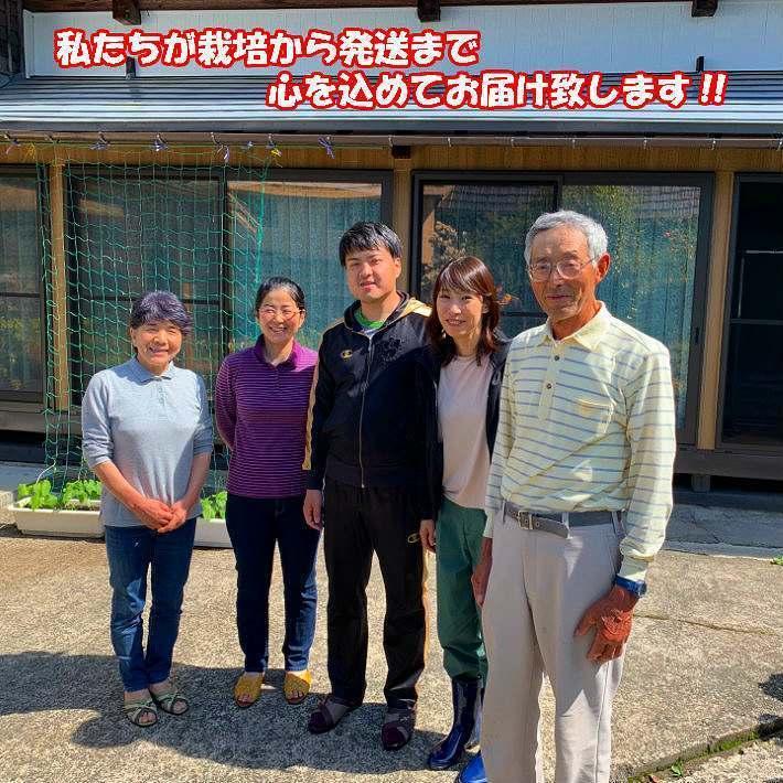 りんごジュース お試し 秋田県産 無添加 ストレート 我が家のこだわり 果汁100 リンゴジュース 180g 4個パック 葉とらず シャーベット サンふじ ふじ Apple003 Lazy Magnolia 通販 Yahoo ショッピング