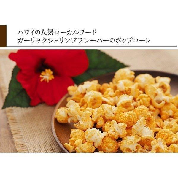 ポップコーン フレーバー ガーリックシュリンプ レイズハワイ オリジナル ガーリック シュリンプポップコーン 45g 3個セット お土産 おみやげ Lh005 1 Lazy Magnolia 通販 Yahoo ショッピング