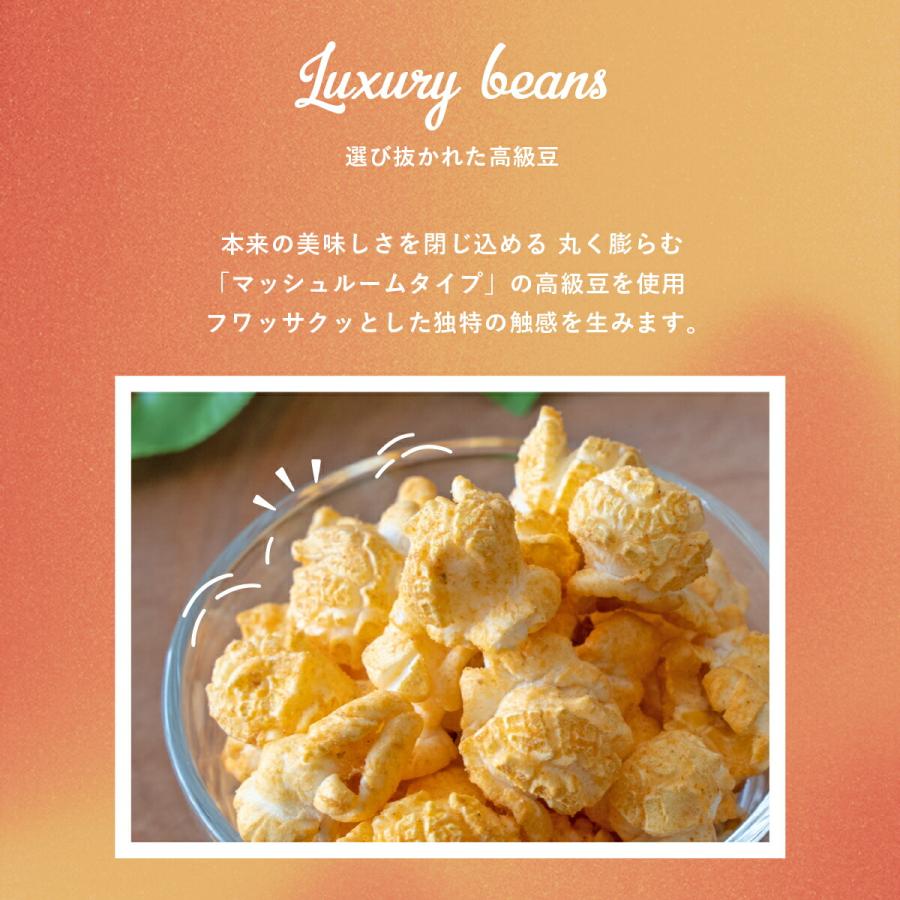 ポップコーン フレーバー ガーリックシュリンプ ハワイ 国産 スナック