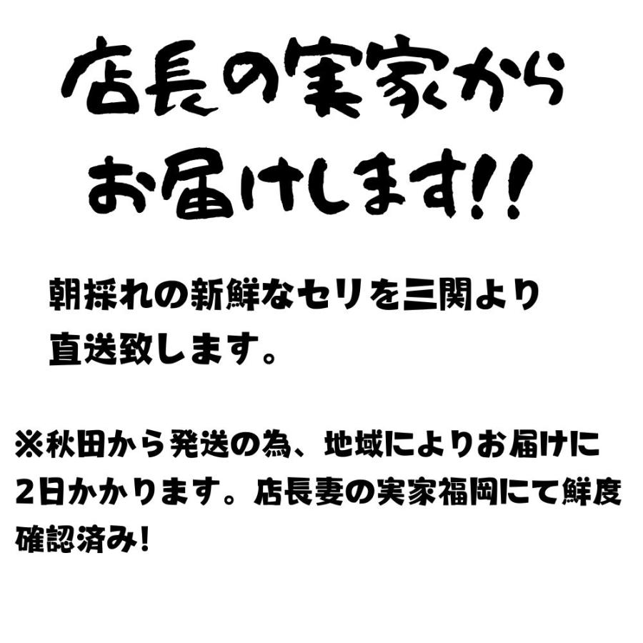 せり 朝採れ 三関産 春 500g セリ 秋田 三関 芹 根 根つき 香草