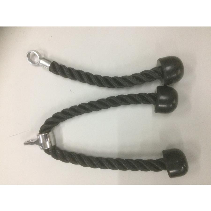 トライセプスロープorシングルロープ |  | 01