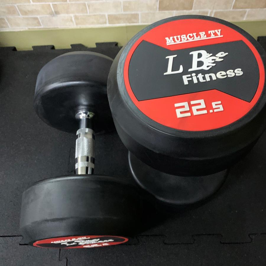 業務用]ラバーダンベル 22.5kg×2個SET 【公式通販】