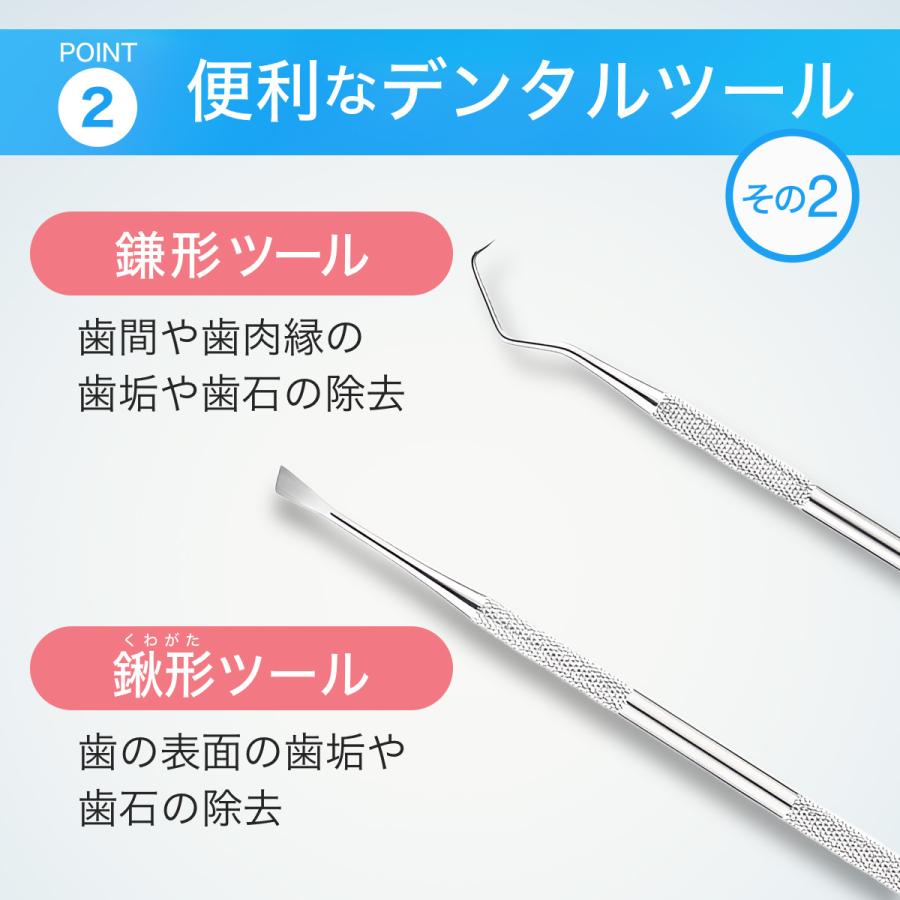 歯石取り 自分で 器具 歯石除去 スケーラー セット 自宅 デンタルケア 犬 歯科 ヤニ ペット オーラルケア 口臭予防｜lblb｜08