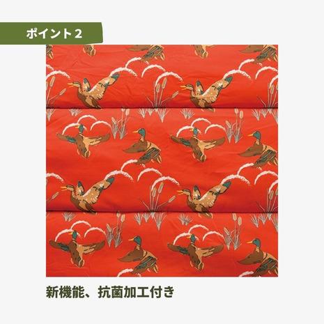 Coleman コールマン（Coleman） シュラフ 寝袋 封筒型 コージー