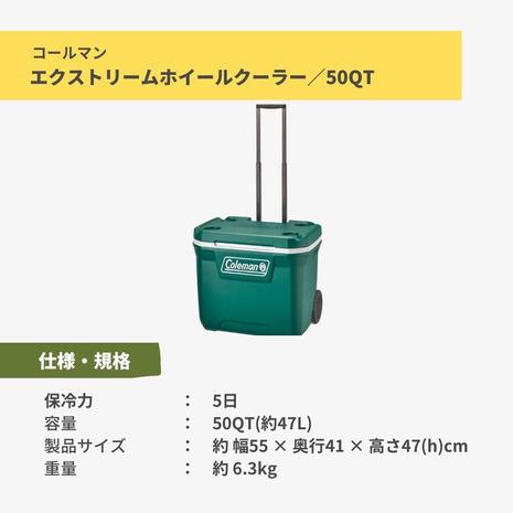 Coleman（コールマン） （メンズ、レディース）エクストリームホイール
