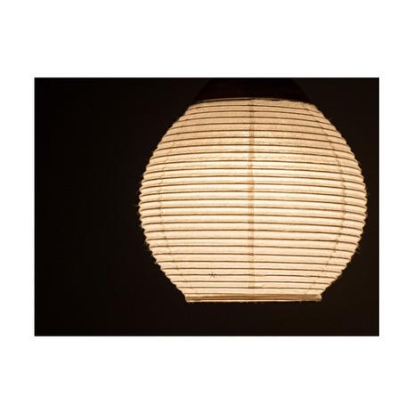 snow peak（スノーピーク） たねほおずき 提灯シェード 蕾 FES-450 : L