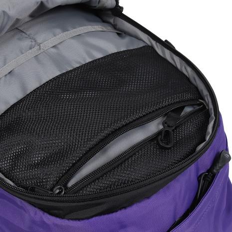 ザ・ノース・フェイス（THE NORTH FACE）（メンズ、レディース）リュック バッグ バックパック ホットショット NM72302 PL パープル 27L 新色 15インチPC対応の画像