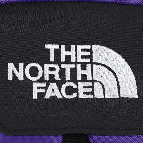 ザ・ノース・フェイス（THE NORTH FACE）（メンズ、レディース）リュック バッグ バックパック ホットショット NM72302 PL パープル 27L 新色 15インチPC対応の画像