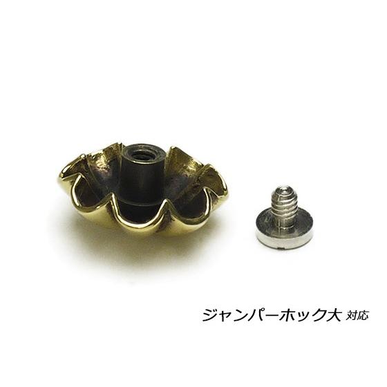 真鍮アポロコンチョ5個 プレーンコンチョ アポロ 真鍮 19mm 1ヶ ネジ式（タイプF）【メール便