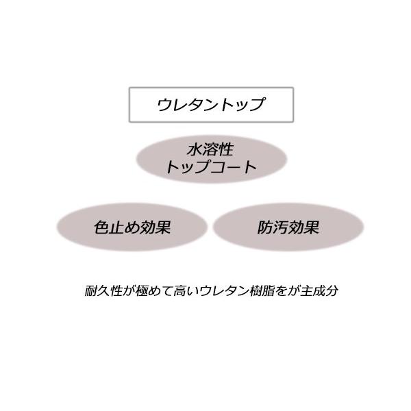 Lized】Coloring Box PIGMENT（コバ着色と吟面顔料仕上げセット