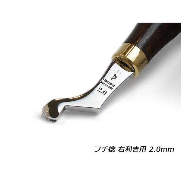 激レア材！シャチの歯 激レア材！シャチの歯