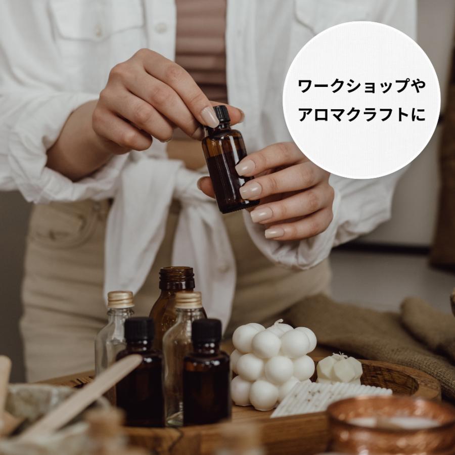 スポイト瓶 遮光瓶 10ml 10本セット スポイト 茶色 スポイト式 容器