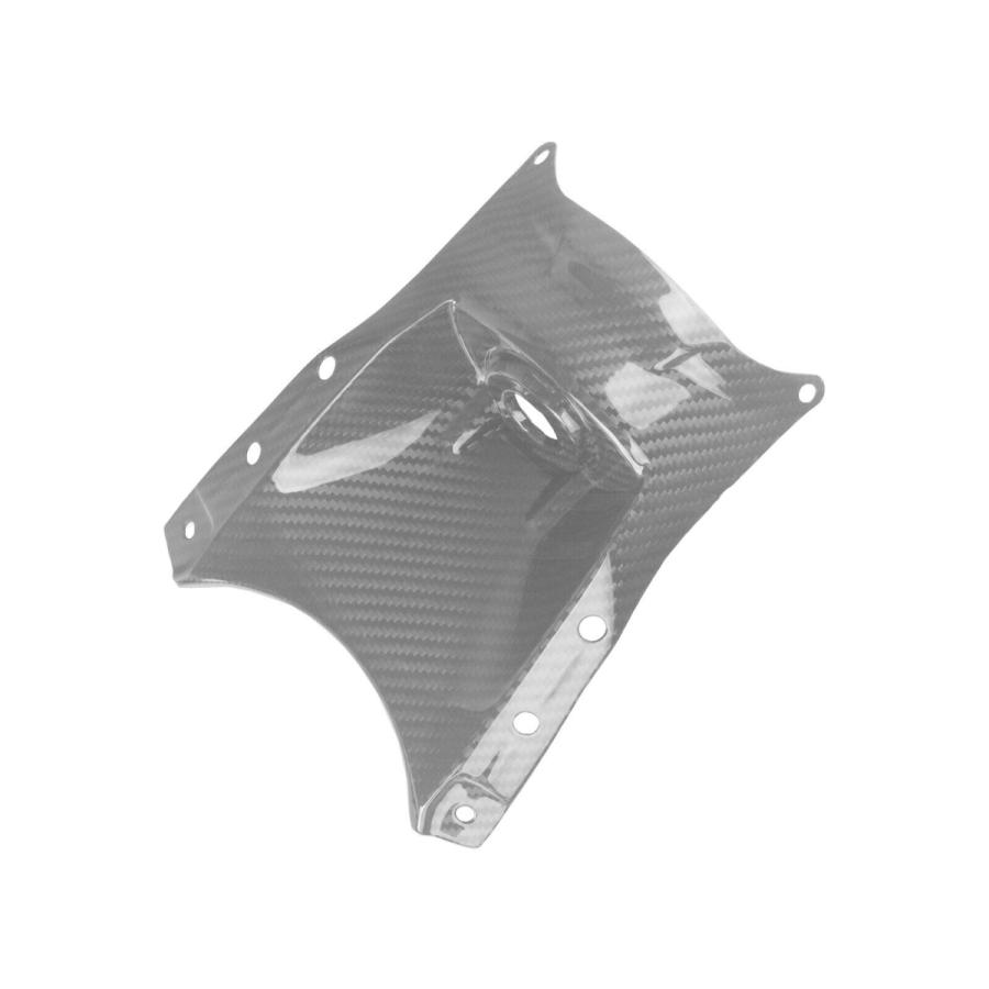 KAWASAKI ZH2 2020- キーガード カーボン外装